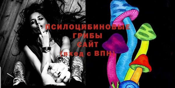 гидра Бугульма